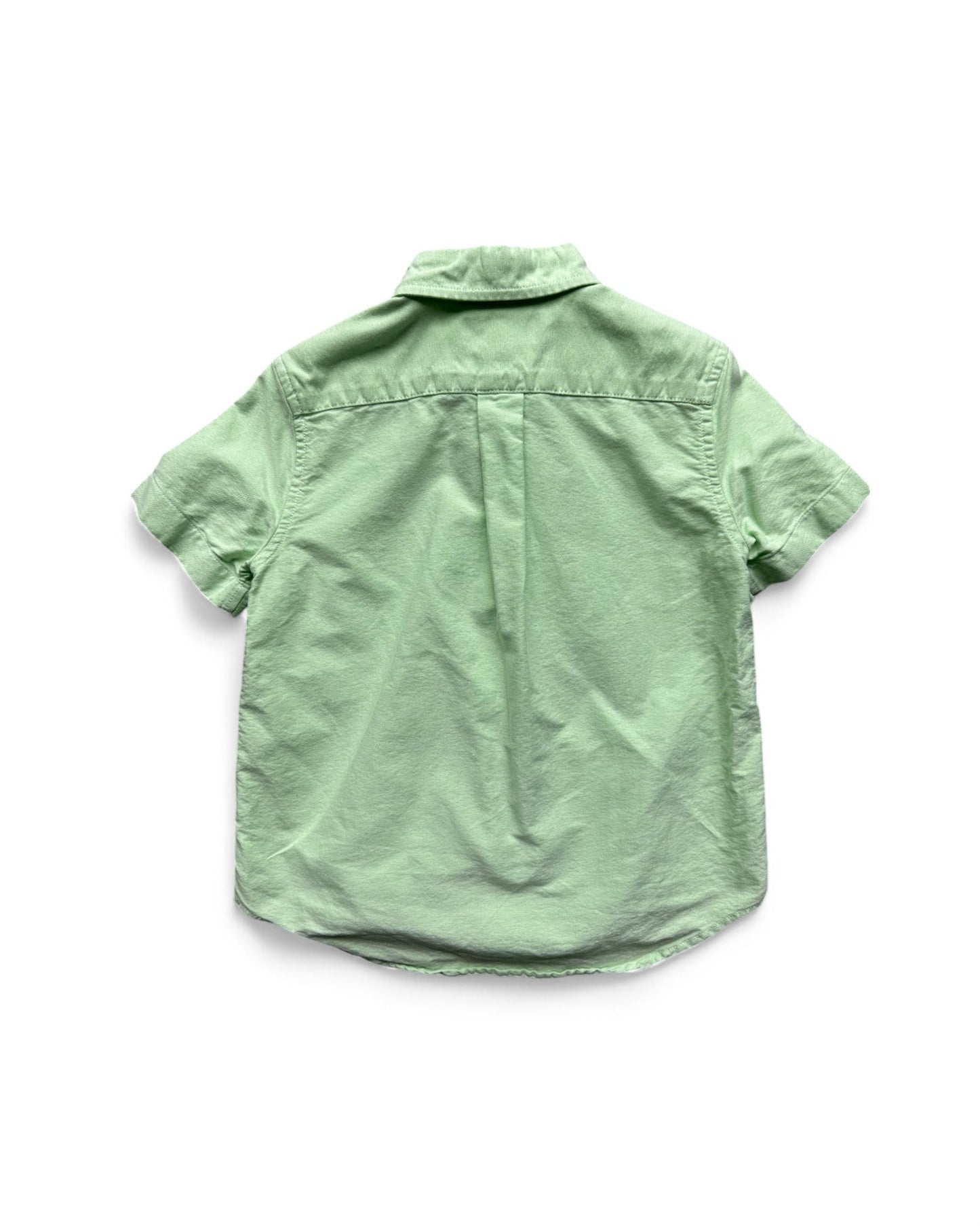 Polo Ralph Lauren icon logo short sleeve oxford kids shirt in lime green