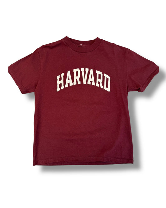 Vintage Champion x Harvard burgundy kids t shirt